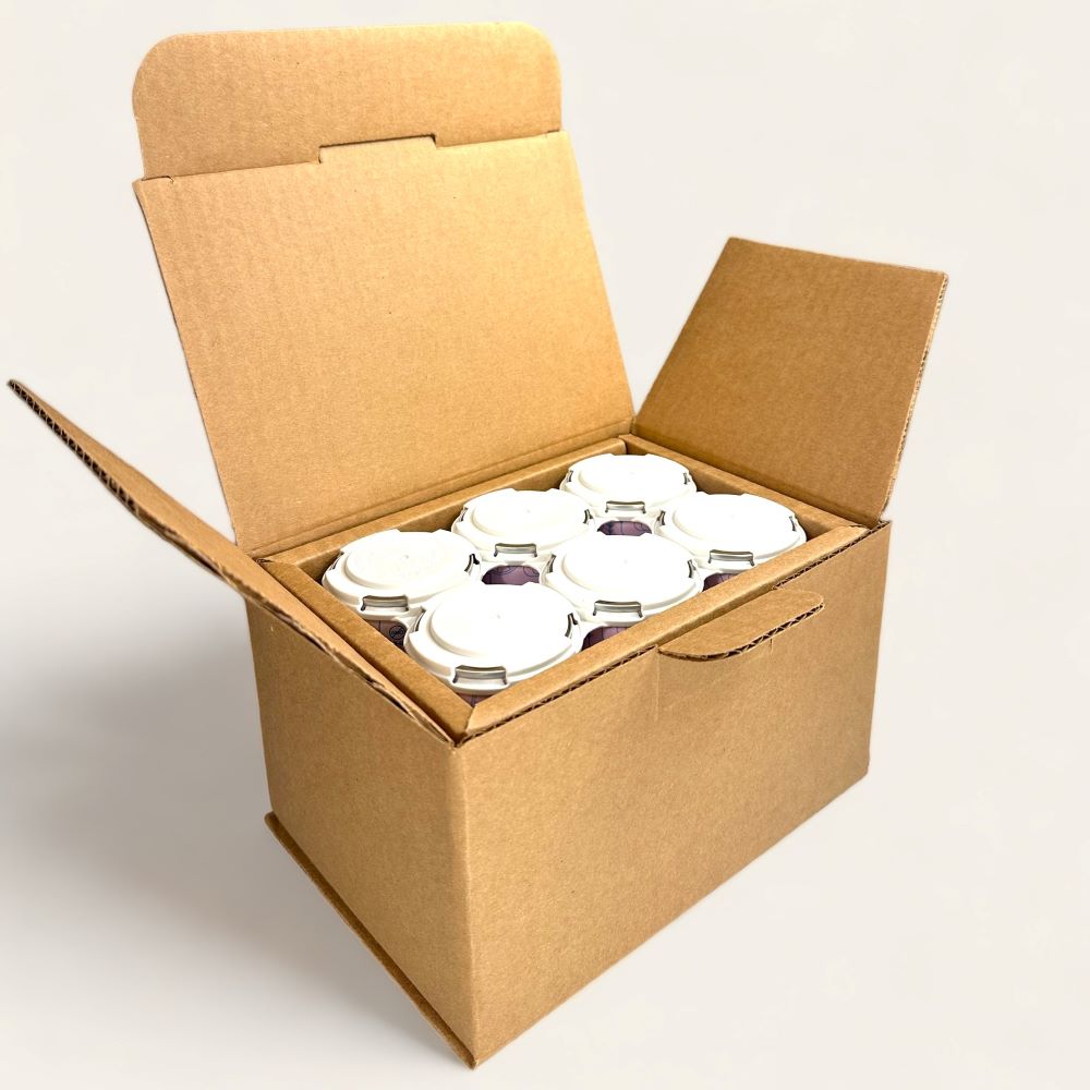 アスティエ　Canette スモールボックス アスティエ Canette スモールボックス - メルカリ